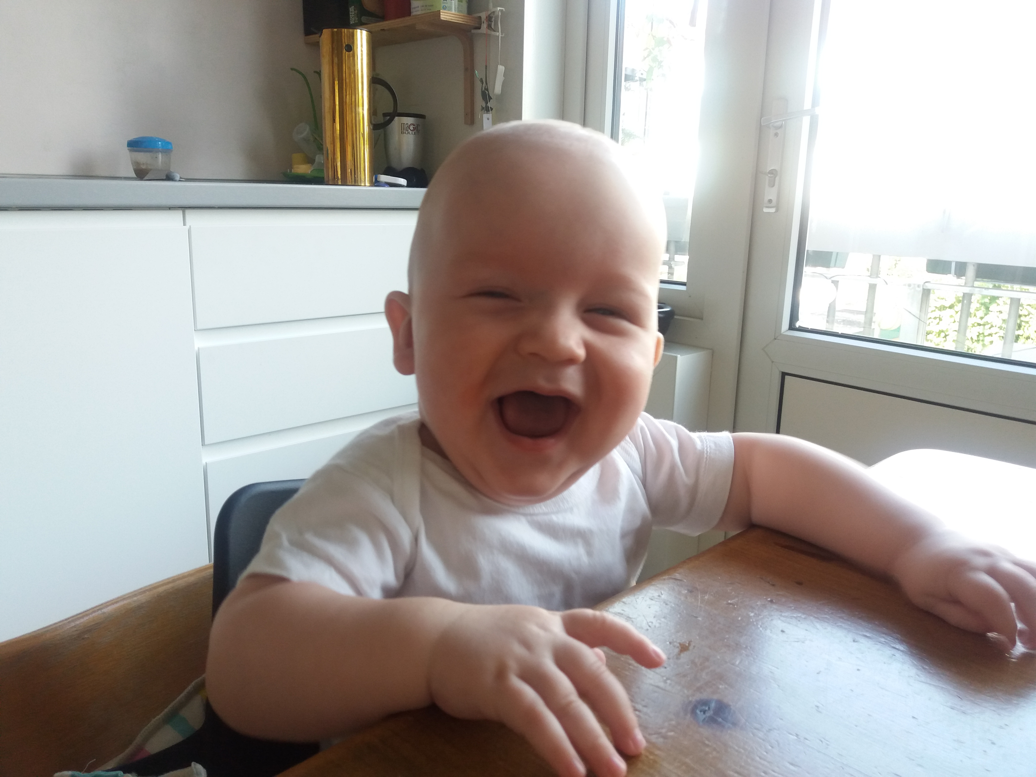 Traject Nederlands 5 D/A Leerwerkboek by VAN IN - Issuu, image size:4128x3096